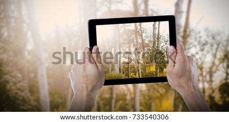 Cropped hand holding digital tablet against trees growing in forest