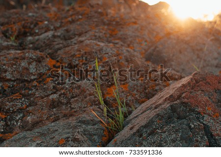 Beautiful stones in the mountains with grass and moss at sunset