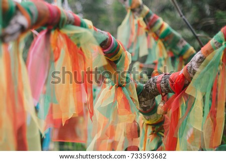 Tree Tie Dye