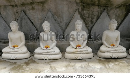 white buddha in garden dhamma 