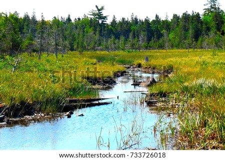 Jordan Trail Acadia National Park Maine