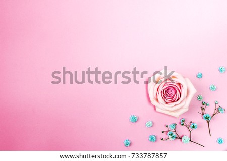 beautiful rose on the Romantic pink background 