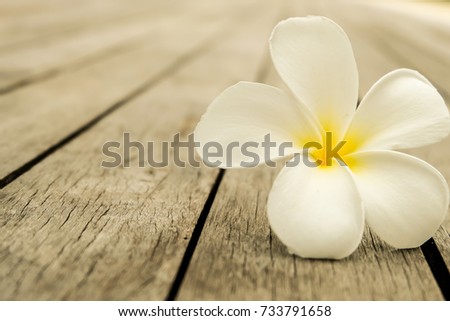 Flowers on wooden floor