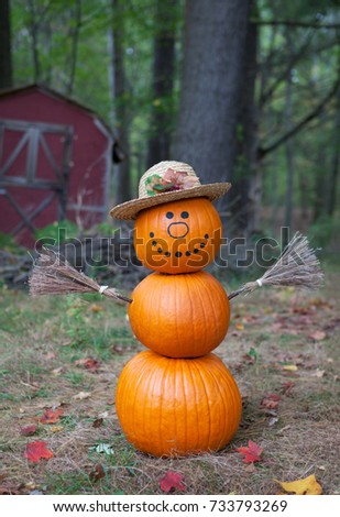 Cute pumpkin man in the woods