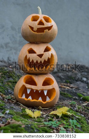 pumpkin helovin, the autumn cold and the pumpkins