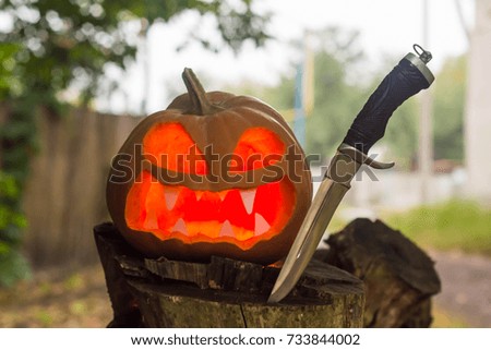 pumpkin on Halloween