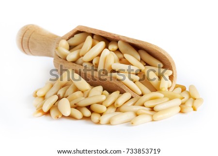 Raw pine nuts in wooden scoop isolated on white background Royalty-Free Stock Photo #733853719