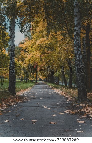 A footpath in a park of rest in autumn.