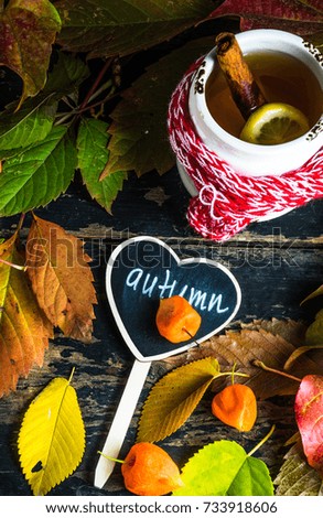 Cup of tea with lemon and knitted scarf on rustic background full of autumnal leaves with copyspace