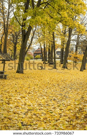 Autumn in the city and town