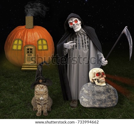 The cat in a witch hat is standing next to a grim reaper. It's Halloween.