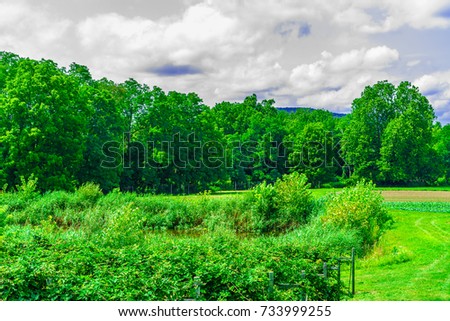 Green field, landscape of meadow with grass Upstate New York