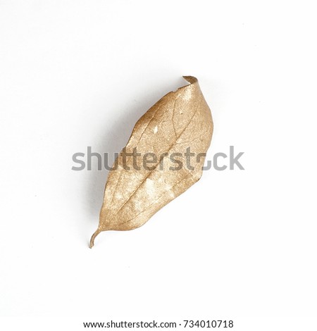 golden leaf design elements. Decoration elements for invitation, wedding cards, valentines day, greeting cards. Isolated.