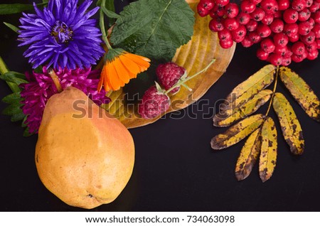 bright autumn flowers with yellow leaves, Rowan berries and raspberries are on a black background

