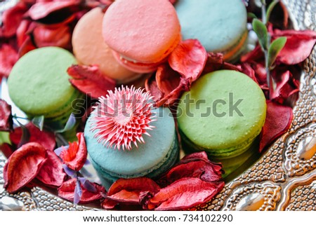 Blurred colorful macaroons in rose petals. Art decor composition. Macro sweet desserts on silver tray with pink, red floral petals for posters, prints, food calendars, shop, web, covers, design, cafe