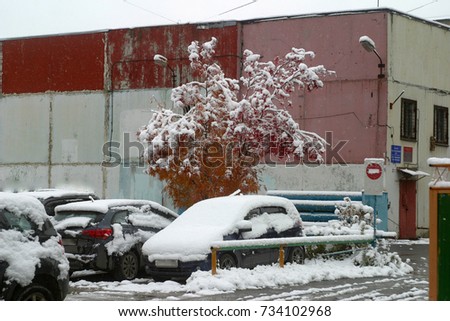 Parked cars, mountain ash with red leaves covered with white, clean snow. A wall with a red and pale blue wall, a courtyard. The first snow in the autumn, in October. Autumn and winter background
