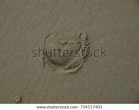 Sand, Horseshoe Print, Bandon, Oregon, USA