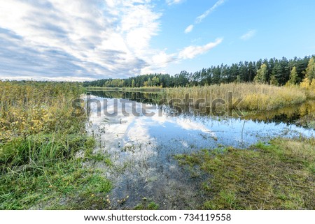 autumn colored trees on the shore of lake with reflections in water with white clouds above. wide angle landscape
