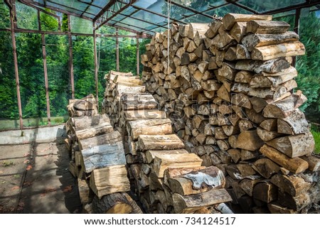 Firewood stacked in huge piles inside a hothouse in the garden