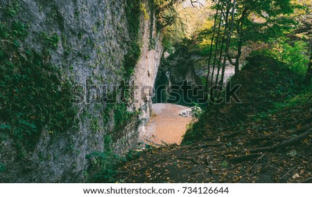 mysterious forest with cliffs and the river with bluish green water