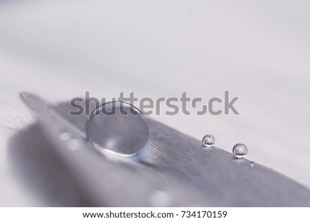 a drop of water on a feather on a blue background