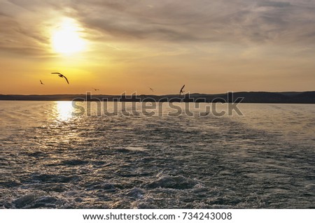 Sunset above ocean with waves and birds on the sky.
