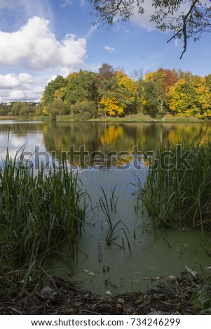 autumn reflections in the water, colorful nature   Royalty-Free Stock Photo #734246299