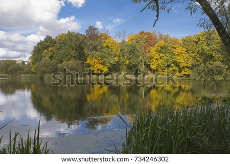 autumn reflections in the water, colorful nature  Royalty-Free Stock Photo #734246302
