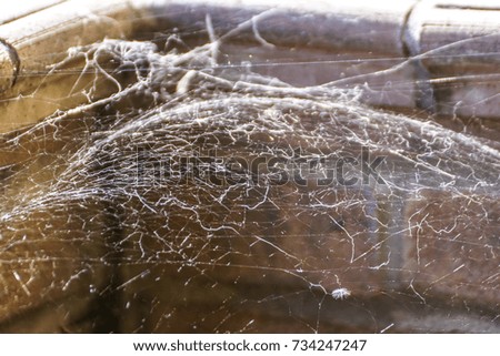 Triangle horror cobweb or spider web on wall background,horizontal photo .