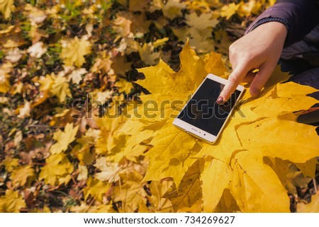 The girl uses phone in the autumn park