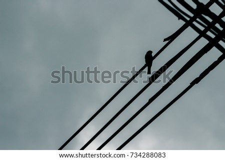 Sparrow Island Cable