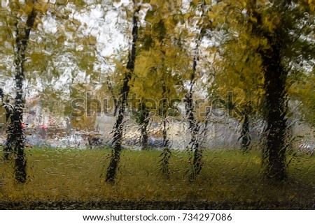 Trees in the rain in autumn through wet glass