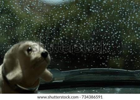 Dog toy in car