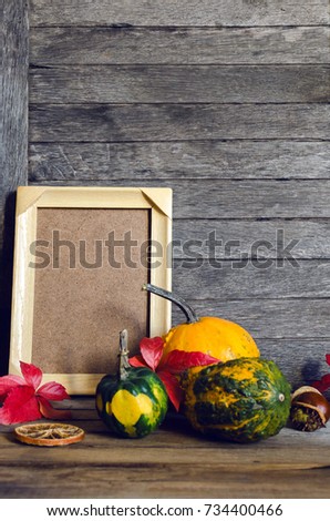 Autumn background with colored leaves and mini pumpkin with frame for photo.