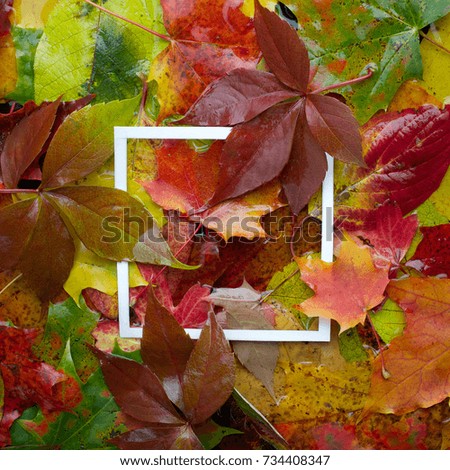 Autumn frame made of leaves with white frame. Flat lay, top view.