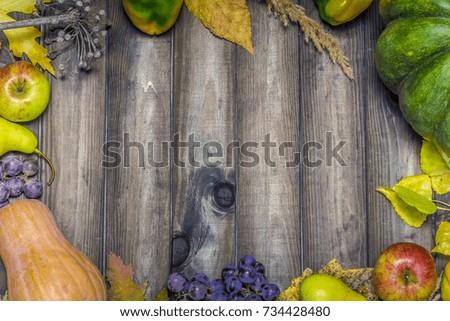 Frame of autumn harvest on wooden boards. Autumn background with a green and yellow pumpkin, blue grapes and apples.