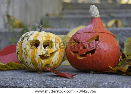 halloween pumpkins surrounded by autumn leaves