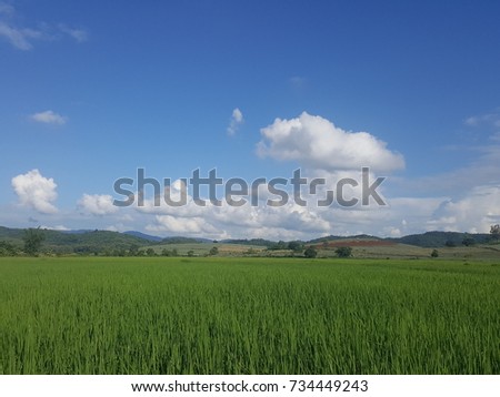 Green rice field Blue sky, white clouds and beautiful mountains.