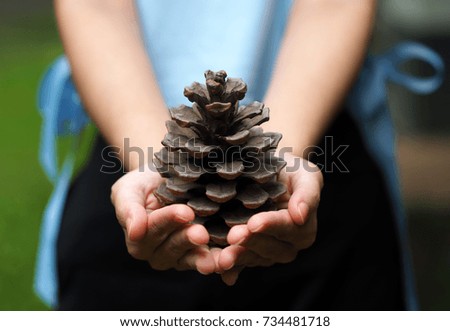 Girl holding a Christmas tree cone. Persons who can not see, copy space, close-up of two hands holding a pine cone