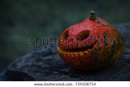 Close up of red scary and angry pumpkin with big eyes and tooth looking and smiling at camera. Decoration for Halloween holiday at forest outdoor. Funny october holiday.