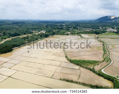 Aerial Photo - Bird's eye view of the paddy field after harvest at morning.