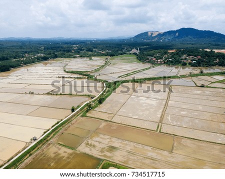 Aerial Photo - Bird's eye view of the paddy field after harvest at morning.