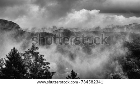 Black and white picture of the Bohemian Switzerland after a heavy rainfall in October in the Czech Republic. The clouds and damp are moving through the pine forest.