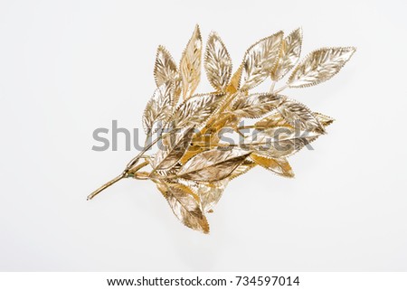 Beautiful painted golden mistletoe isolated