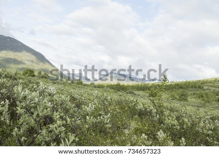 View of Norwegian National park in norway on summer day