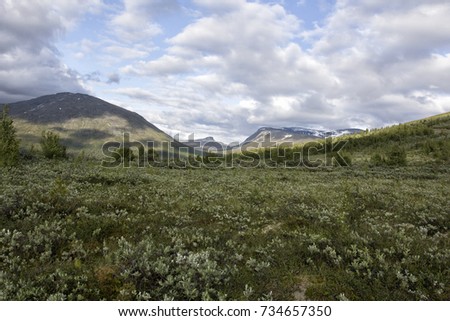 View of Norwegian National park in norway on summer day