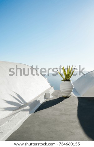 White walls and pot plants along a walkway in Santorini, Greece.