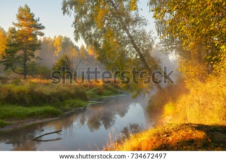 Autumnal forest river with the beautiful light and the yellow trees on its shores