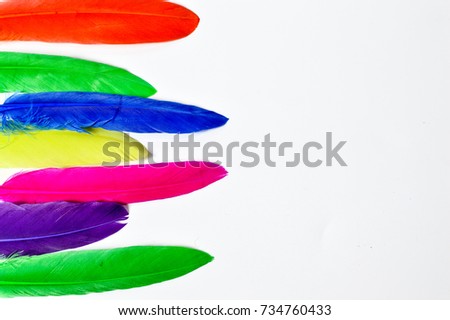  Beautiful feathers in rainbow colors on white background.Selective focus.