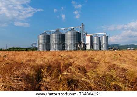 Silos in a barley field. Storage of the crop Royalty-Free Stock Photo #734804191